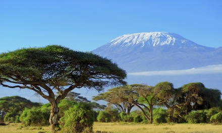 Кофе TANZANIA AA 