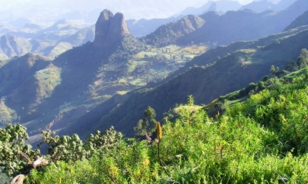 Кофе ETHIOPIA SIDAMO 